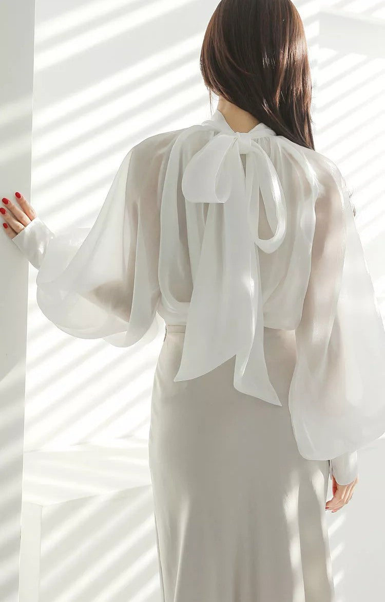 Vision Organza Blouse