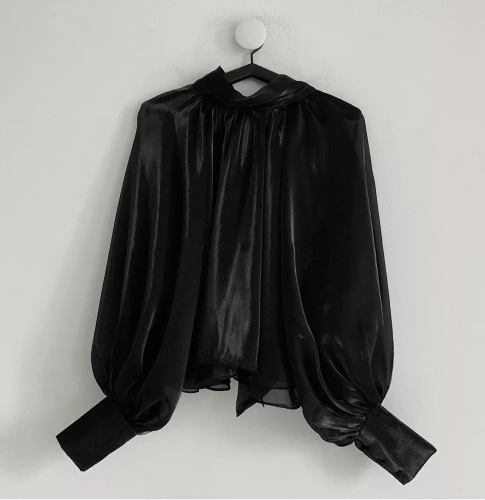 Vision Organza Blouse