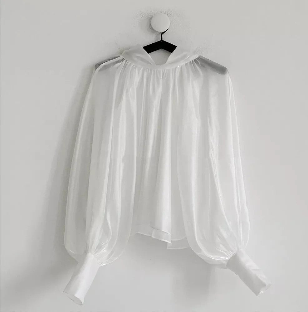 Vision Organza Blouse
