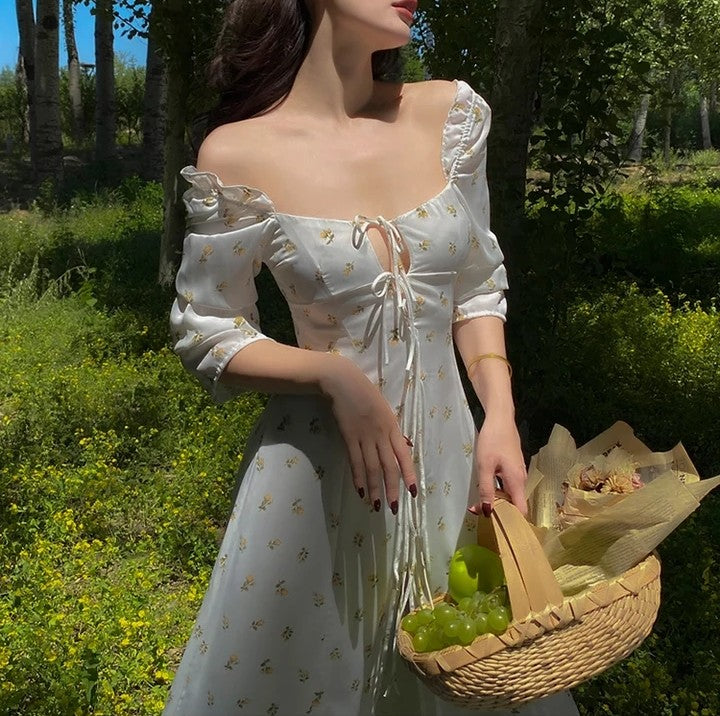 Carolina French Vintage Dress