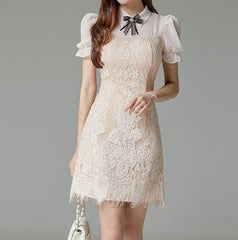 Grace French Lace Dress